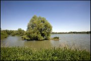 arnhem vvbvanbree2454